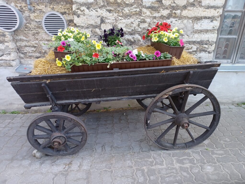 vanha hevosvaunu täynnä kukkia